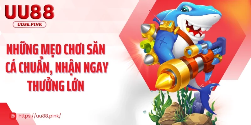 Những mẹo chơi săn cá chuẩn, nhận ngay thưởng lớn